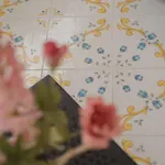 Il Poeta Procida
